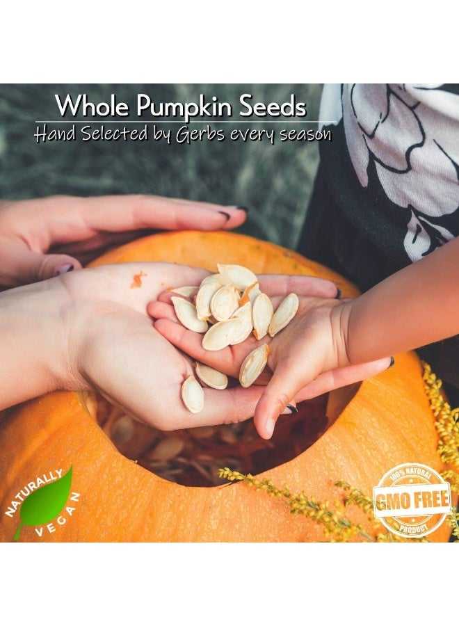 GERBS Sea Salted Roasted Pumpkin Seeds in Shell by Gerbs - 2 LBS - Top 11 Food Allergen Free & Non GMO - Premium Whole Pepitas, Product of USA - Image 5